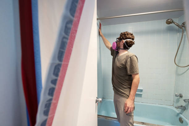 Best Dehumidification Services  in Summerville, SC